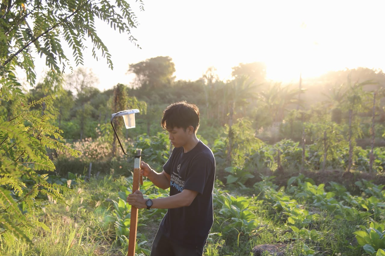 Enhancing Agricultural Productivity Through Solar-Powered Light Trap Innovation