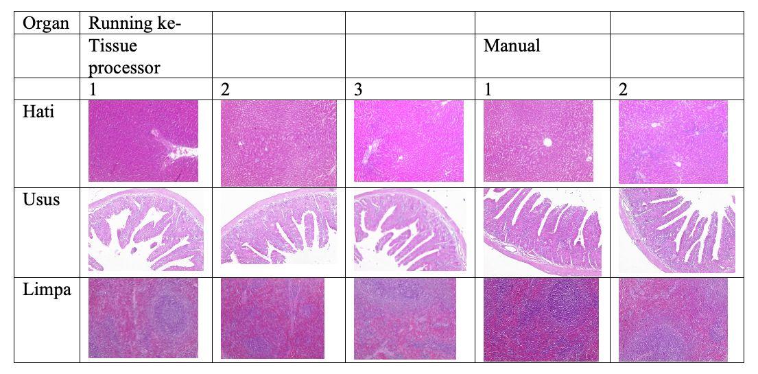 tissue processor comparion result